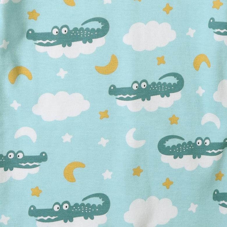 100% Cotton Footed Zip Pajamas - 2 pack - Crocodile & Golden Star