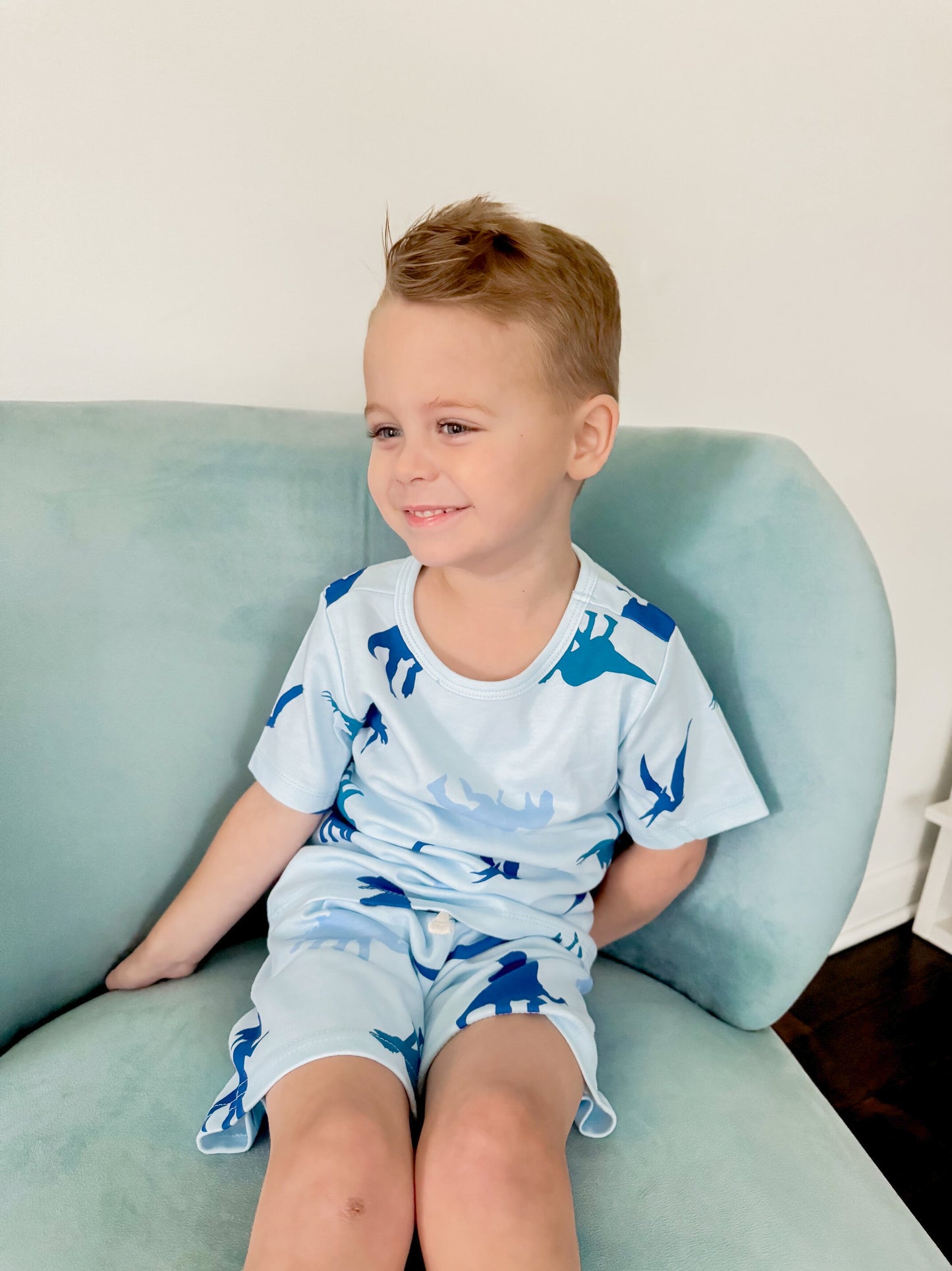 100% Organic Cotton Toddler Summer 2 Piece short sleeve Pajama Set - Blue Dinosaur