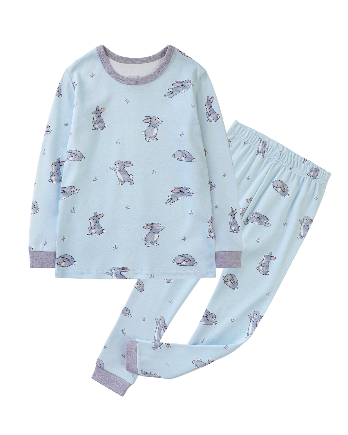 100% Organic Cotton Toddler 2 Piece Pajama Set - Blue Bunnies