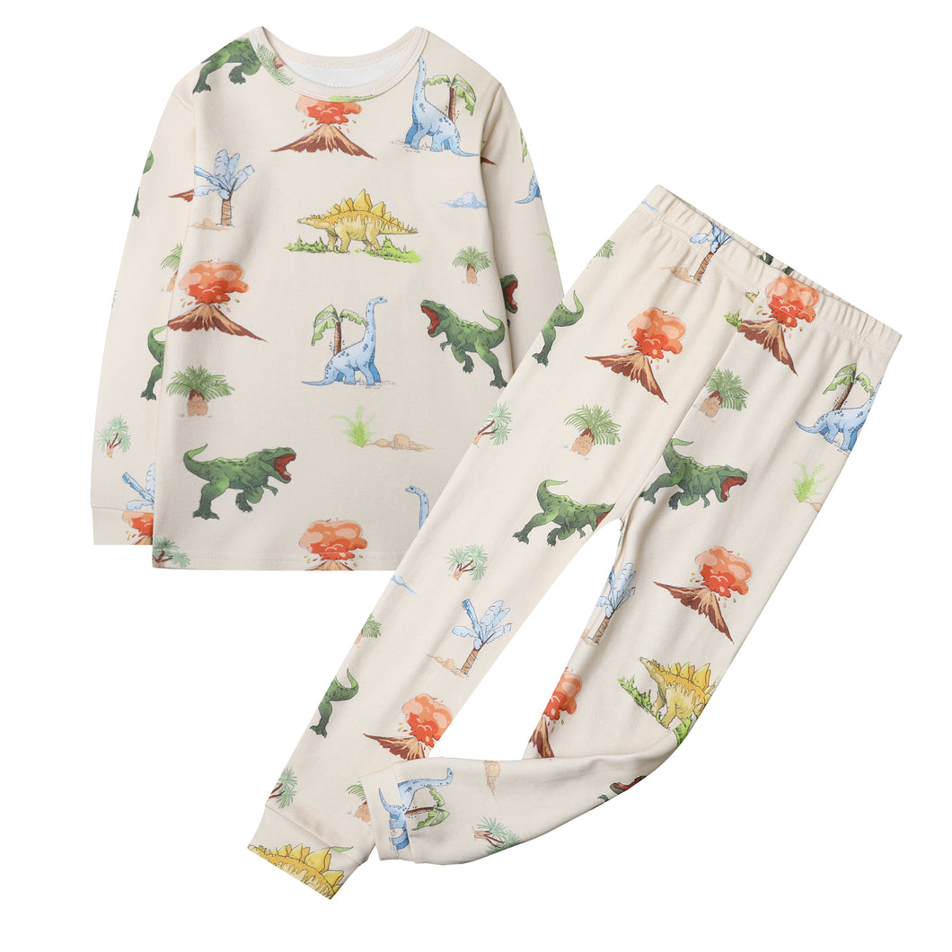 100% Organic Cotton Toddler 2 Piece Pajama Set - Watercolor Dinosaur