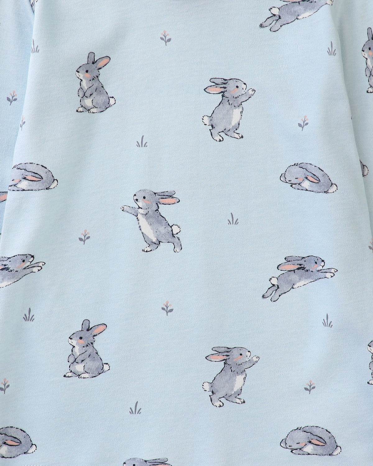 100% Organic Cotton Toddler 2 Piece Pajama Set - Blue Bunnies