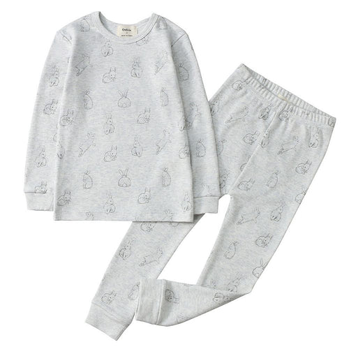 100% Organic Cotton Toddler 2 Piece Pajama Set - Grey Rabbits
