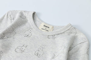 100% Organic Cotton Toddler 2 Piece Pajama Set - Grey Rabbits